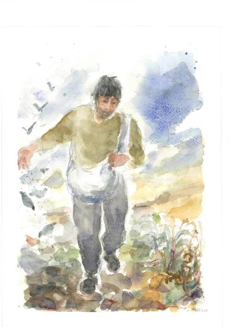 Il seme e il seminatore, acquarello di Maria Cavazzini Fortini, luglio 2012
