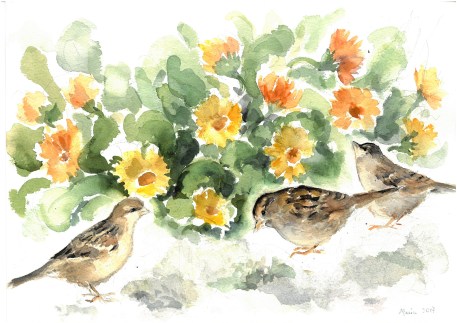 Non valete più di loro? acquarello di Maria Cavazzini Fortini, febbraio 2017