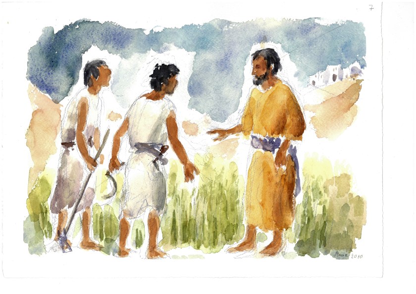 Parabola grano e zizzania 2