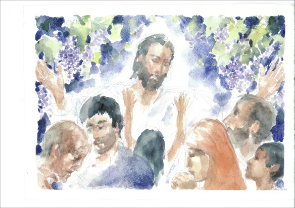 Io sono la vera vite