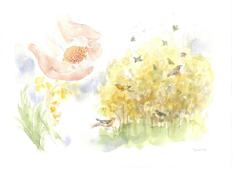 Parabola granellino di senapa