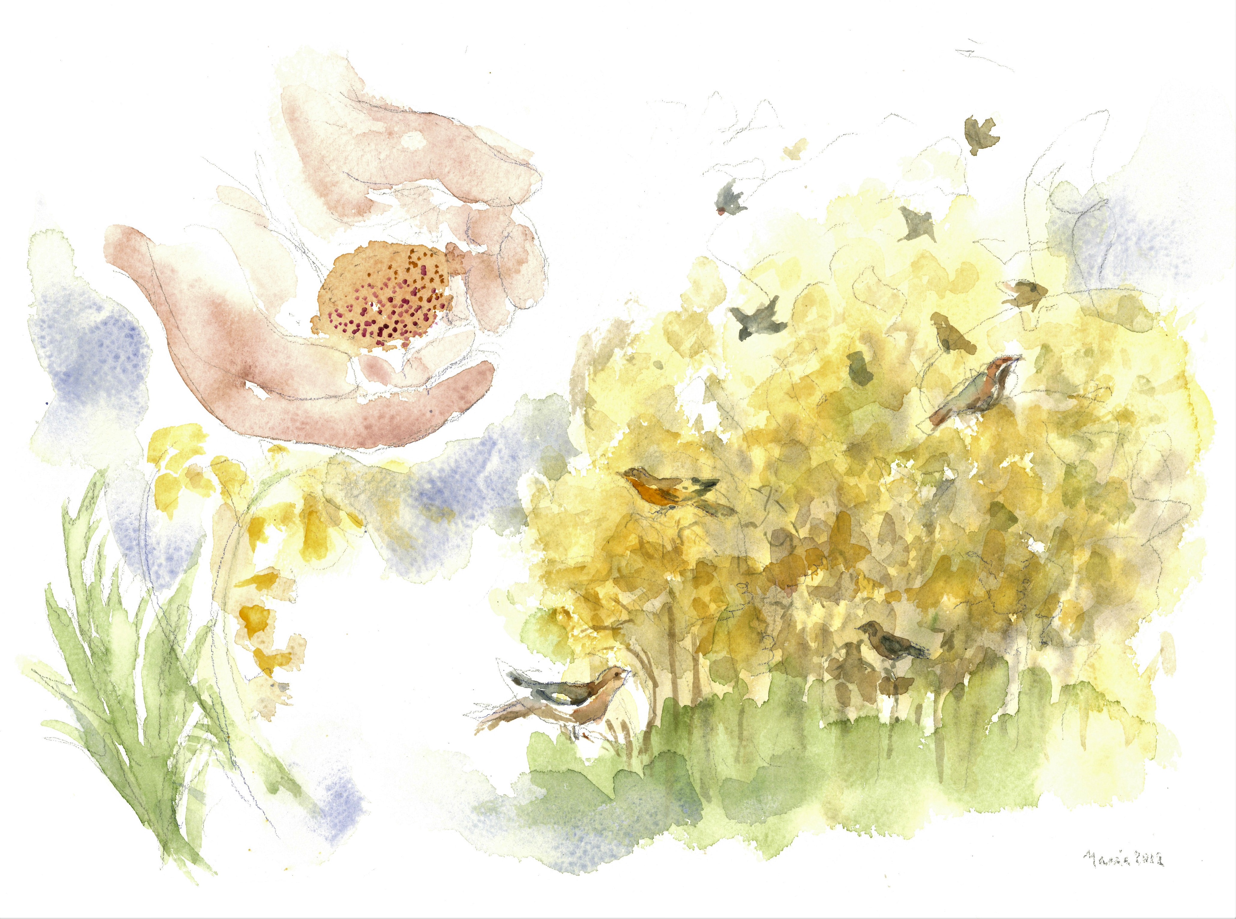 Parabola granellino di senapa